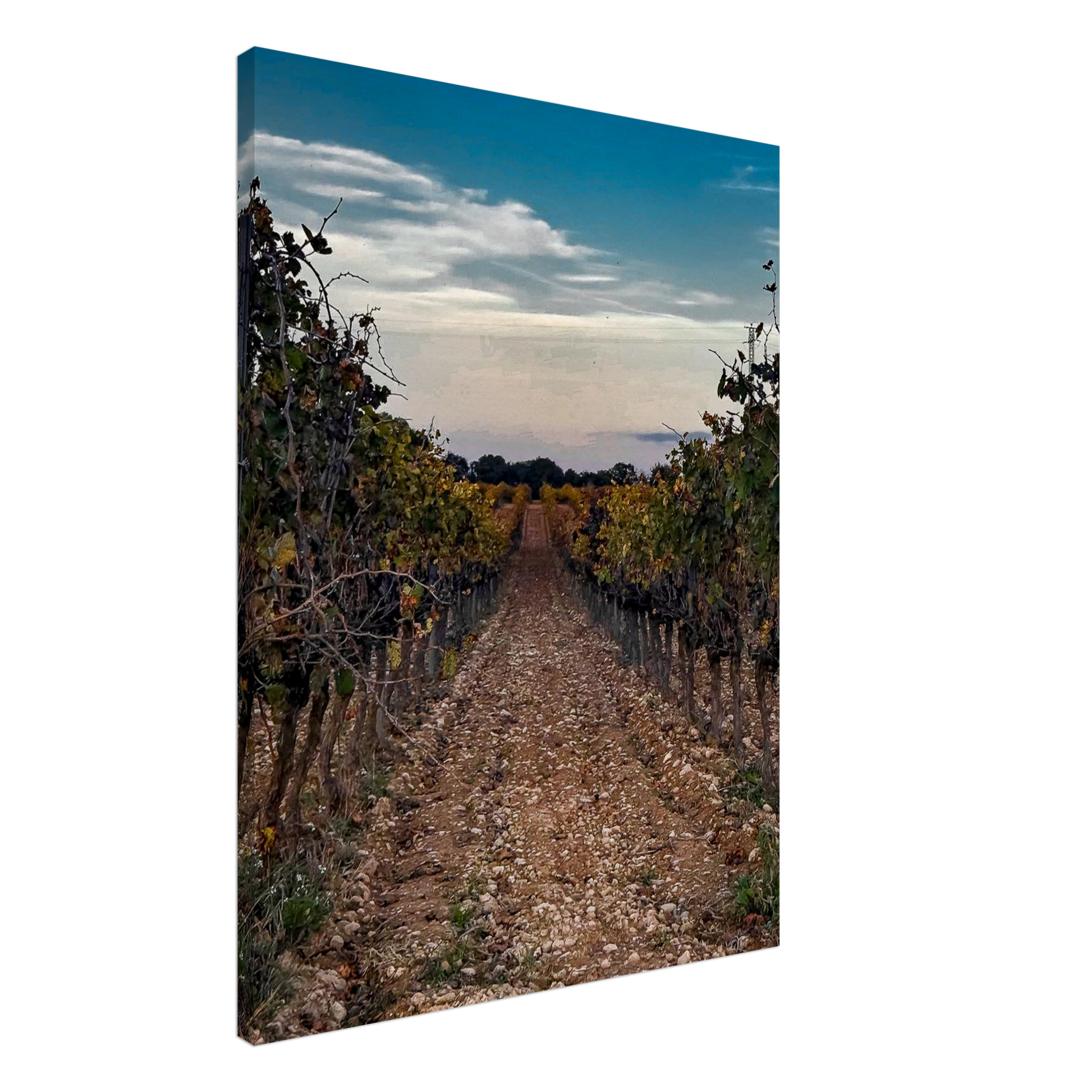 07847afb-f2a9-4d68-be86-2ad2452eade3