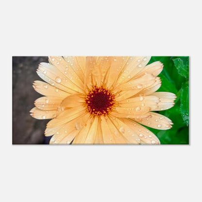 078af25c-1846-46ef-88ad-03214439b37b
