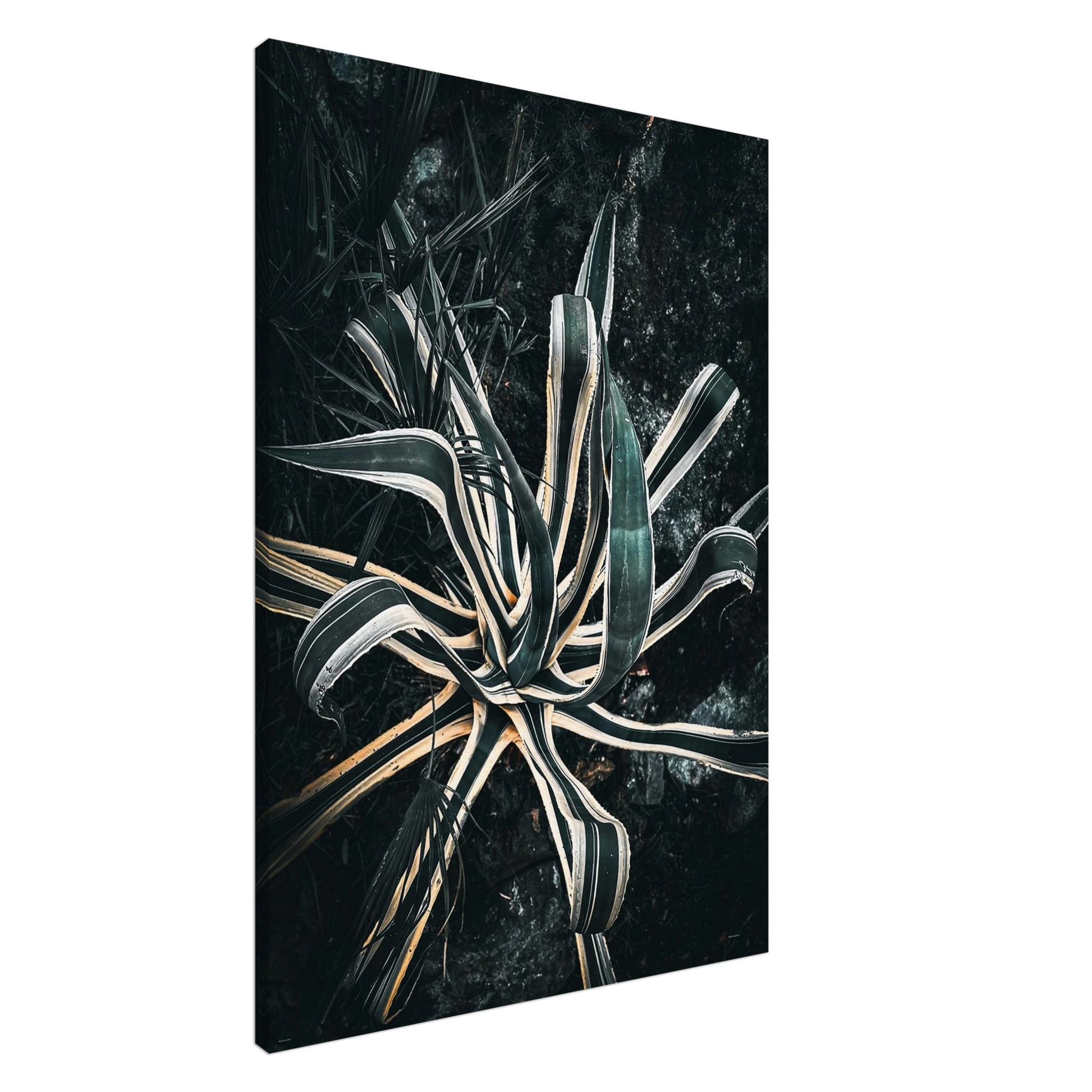 07b1c1ce-b027-46fe-8dc5-48c9735128f7