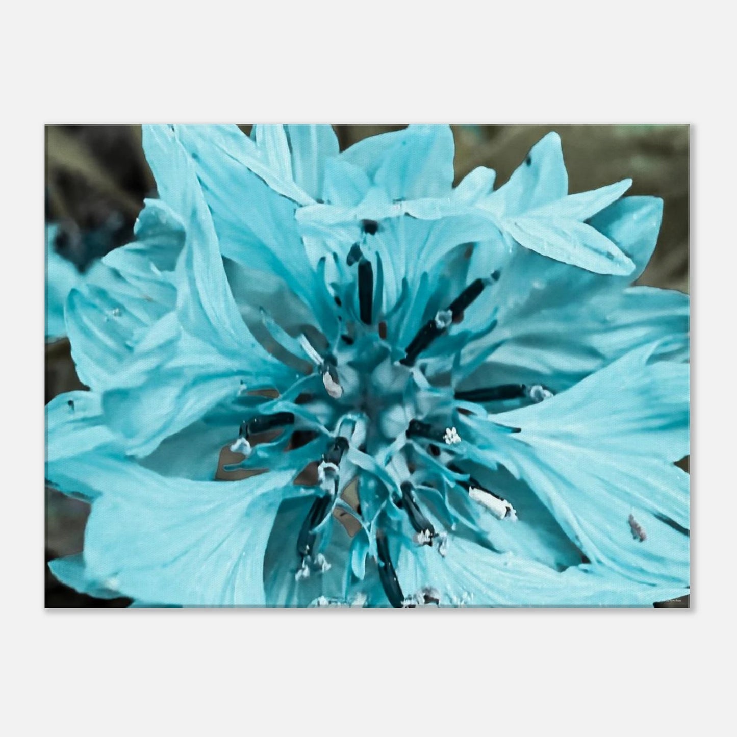 07bf9d05-98b5-472f-8e43-536e1e2df16c