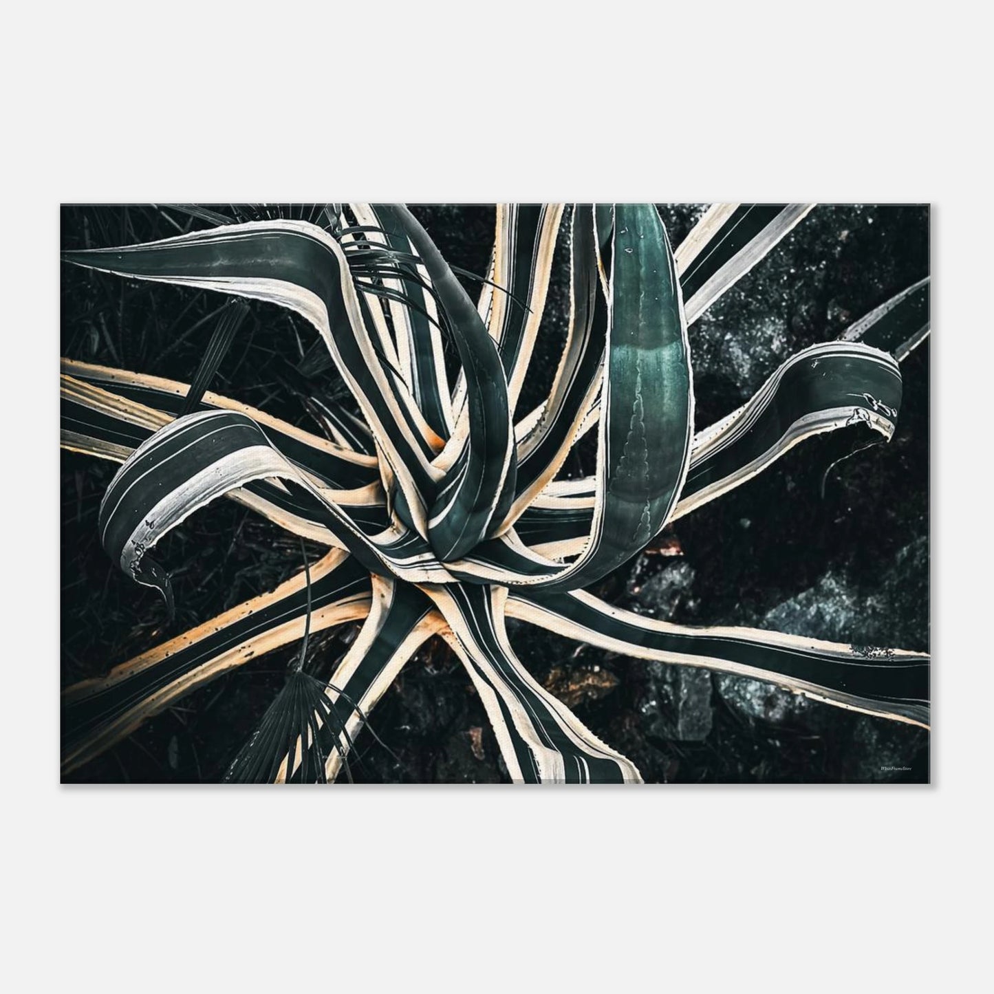 07fa0c2f-fbe7-436c-a71f-5731f926d92d