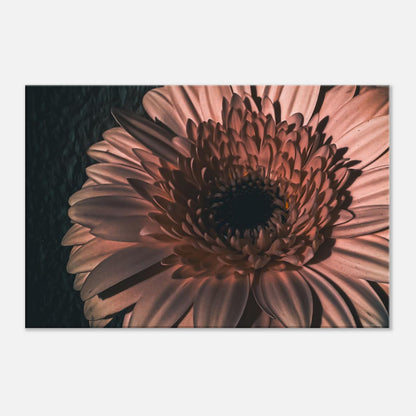 07fbdac2-f931-4926-9d84-341030820066