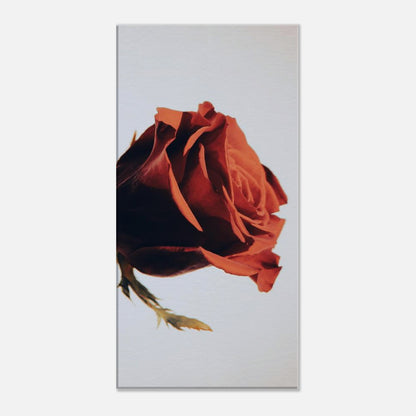 080477be-8914-4ec9-a0c2-06e1a45122db