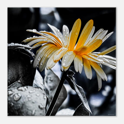 0824a63a-2d8e-45c1-810d-7ca88ed0b47d