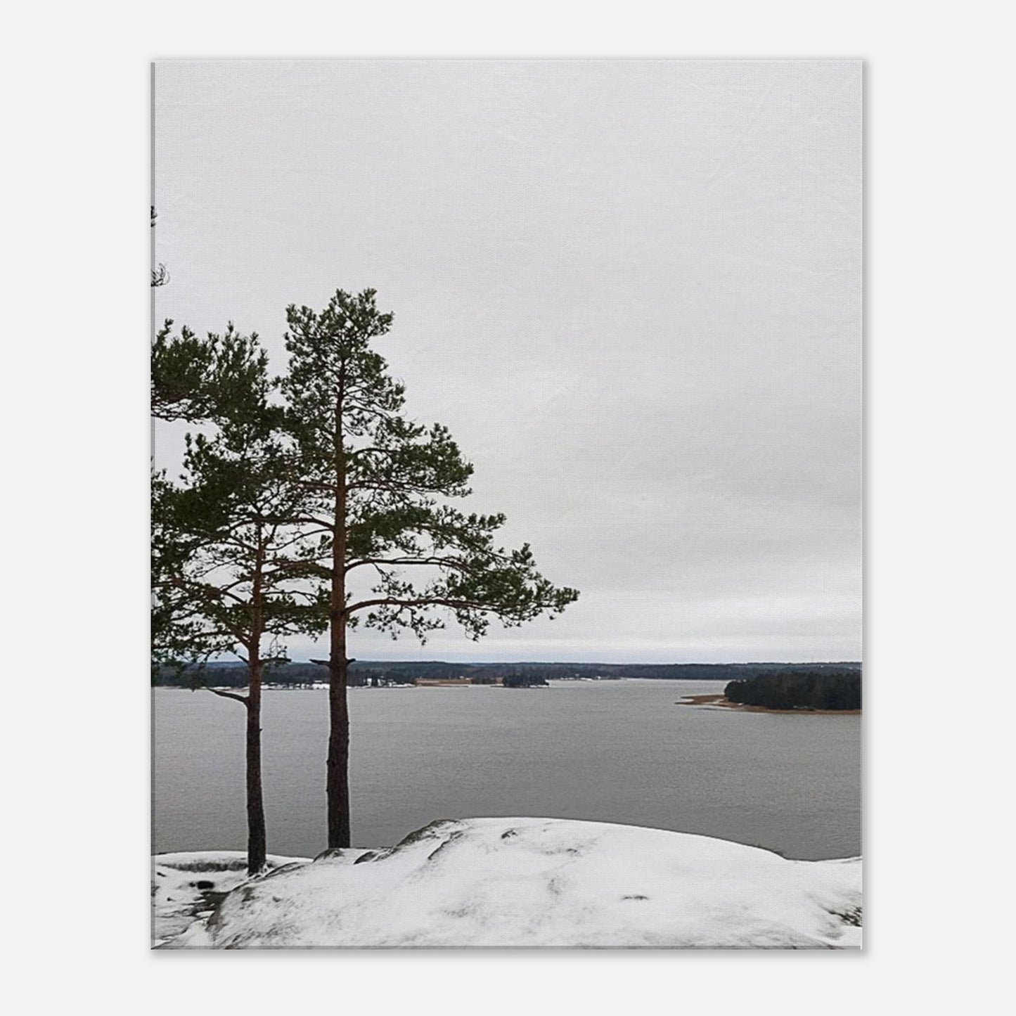 083ef191-11a3-41b9-a2ad-edd418c3f020