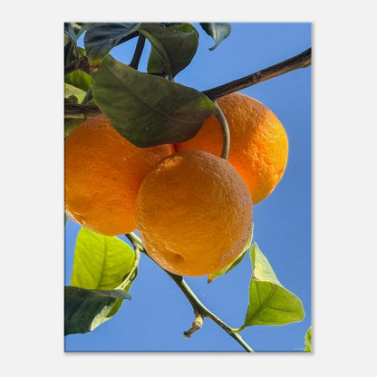 0860f448-3967-4f3a-bc9f-23dea4c3c2ee