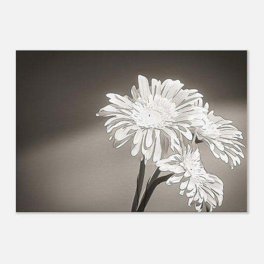 087ef8a2-5b6d-4257-9324-a1c998c596a2