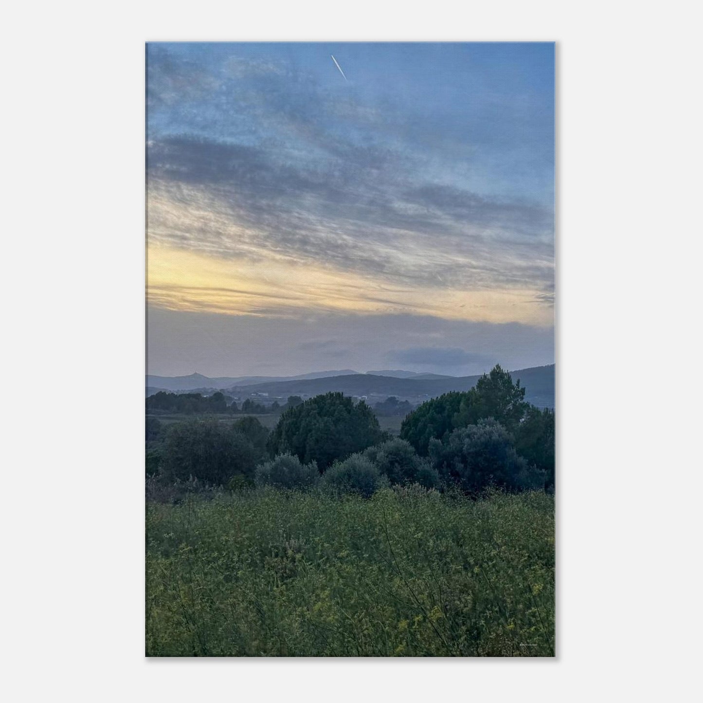 089358cb-a281-4dcd-96c3-4aaefce4766c