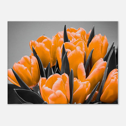 089b3115-f59b-4405-815d-9d1cca4d8fbb