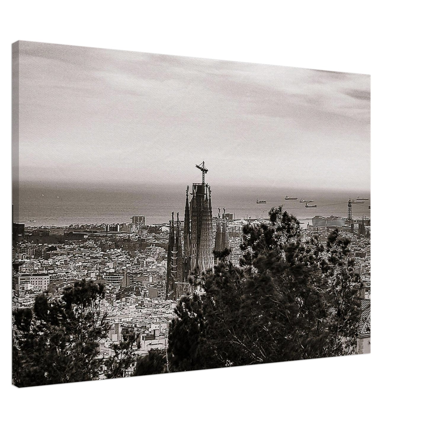 08ac72c3-185c-43d0-be0c-ed44c750063a