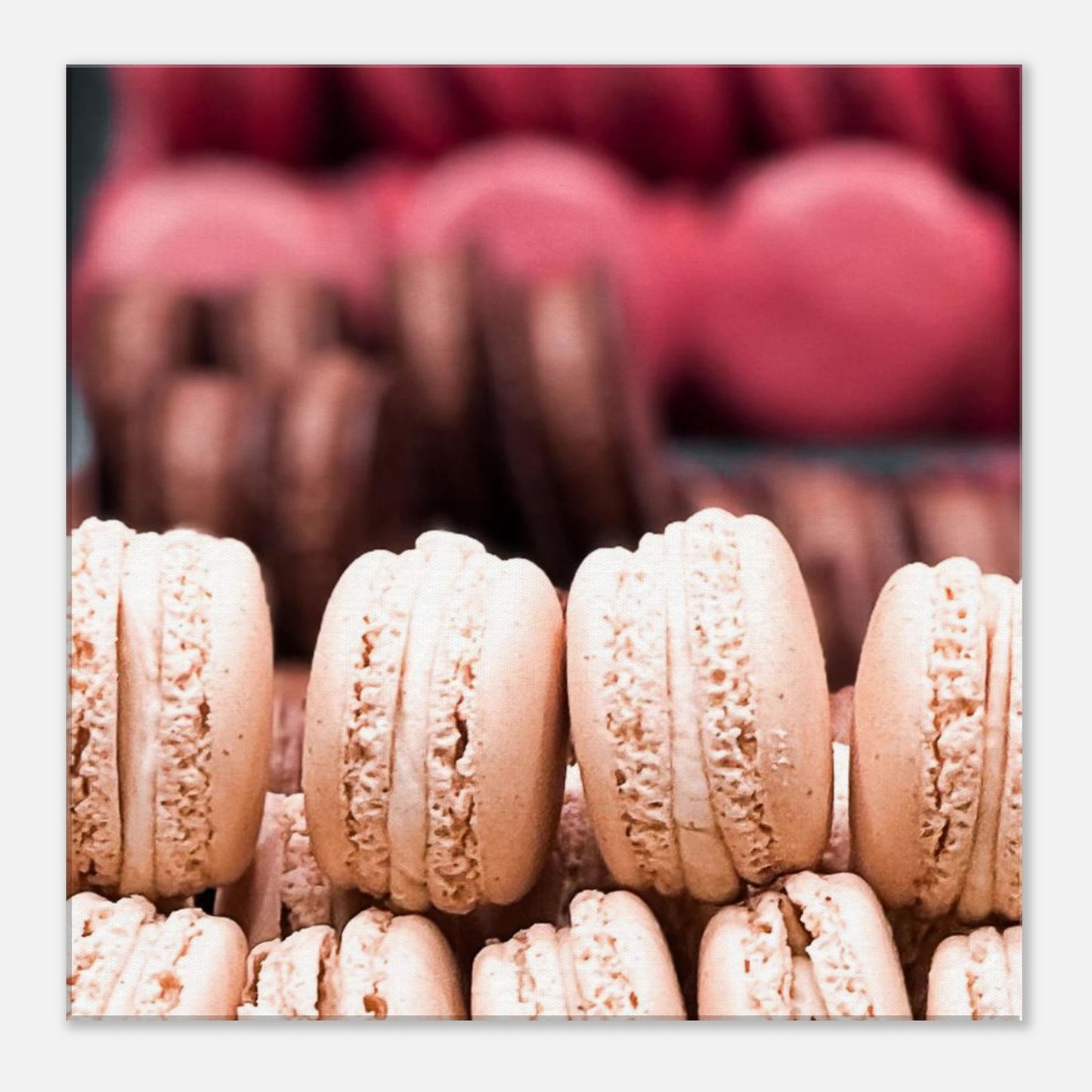 08bc0ba5-70d1-4536-a6b3-348b53d38b89