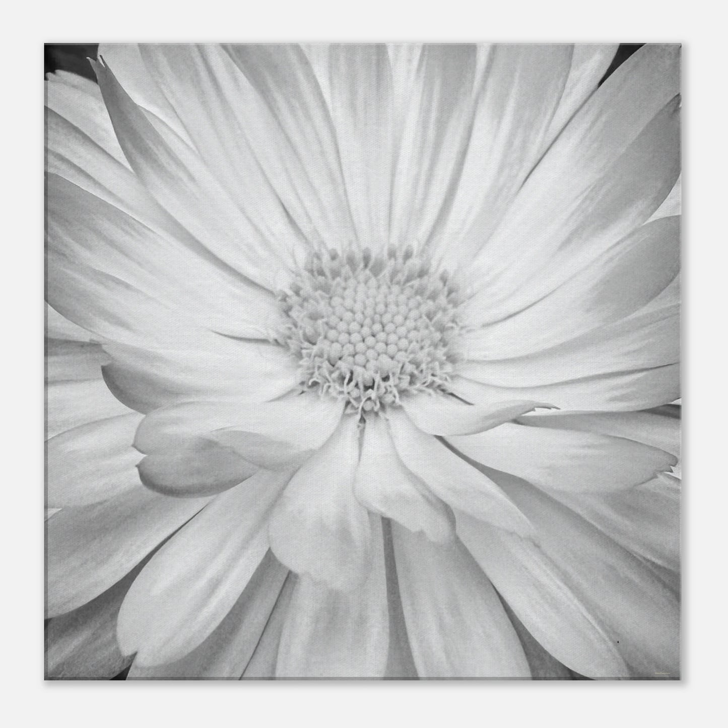 08c114a6-5b4c-4c48-97b5-674df5d2a1ec