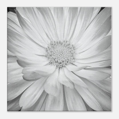 08c114a6-5b4c-4c48-97b5-674df5d2a1ec