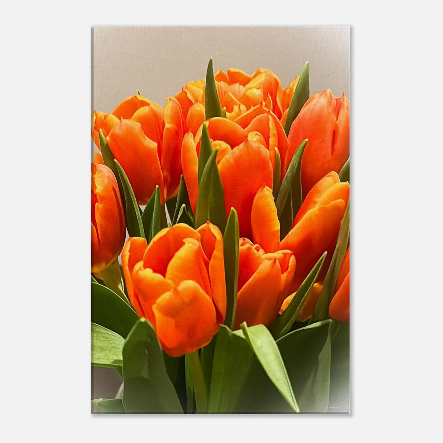 08c6e28f-7593-49ce-9284-2e5b71ad383b