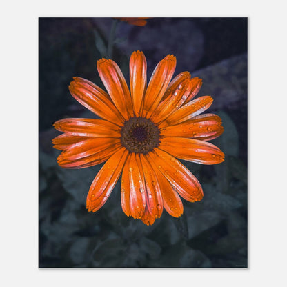 08cbdf77-d5f6-474a-8c25-f9e5bc38ba36