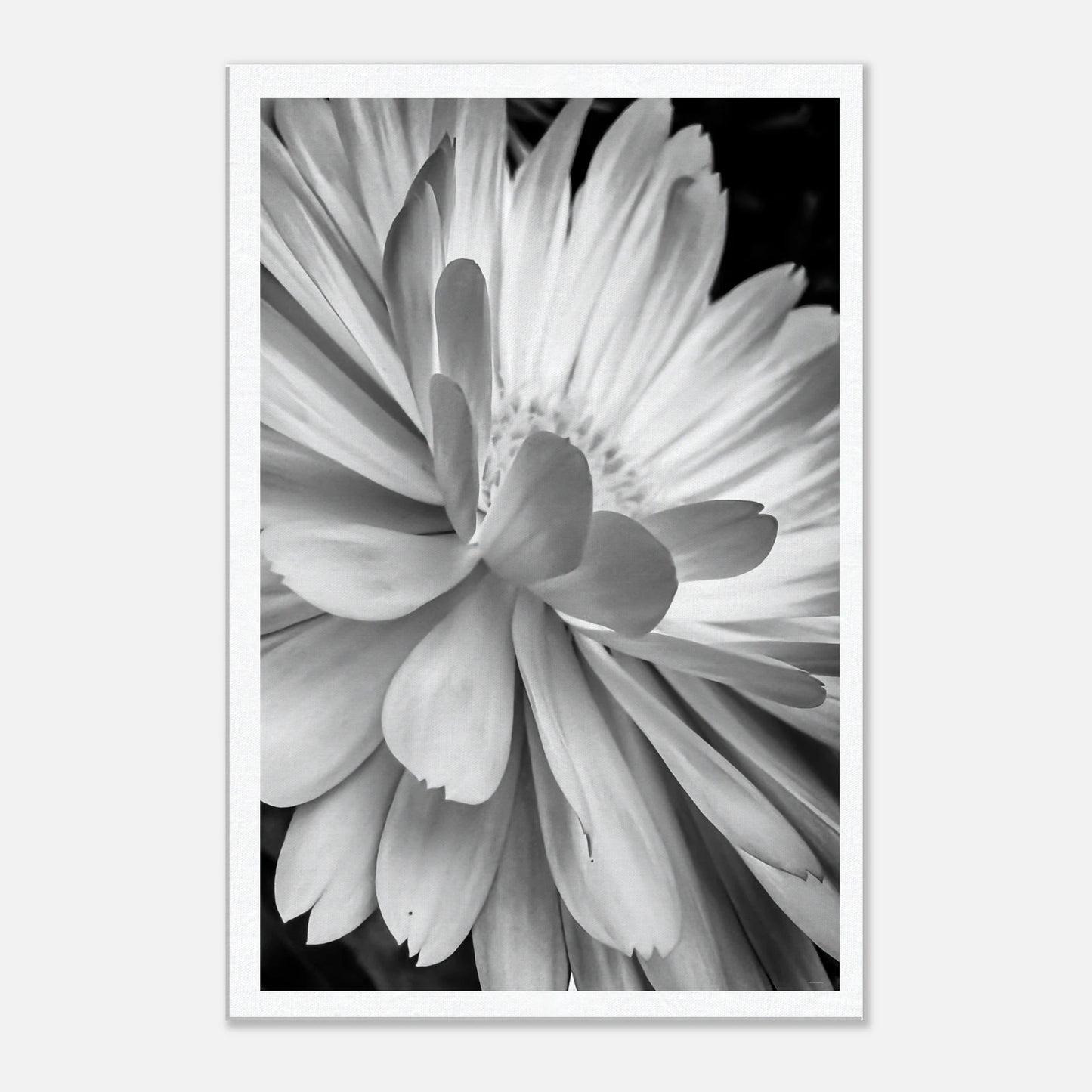 08dac2e6-52f7-4e48-a806-8b9d73c207fe