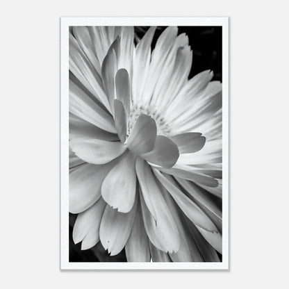 08dac2e6-52f7-4e48-a806-8b9d73c207fe