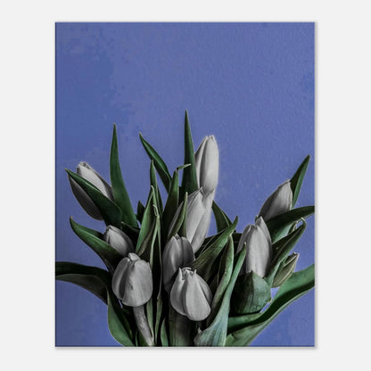 08e28251-493d-4ffe-b22d-13aadb2e3bf8