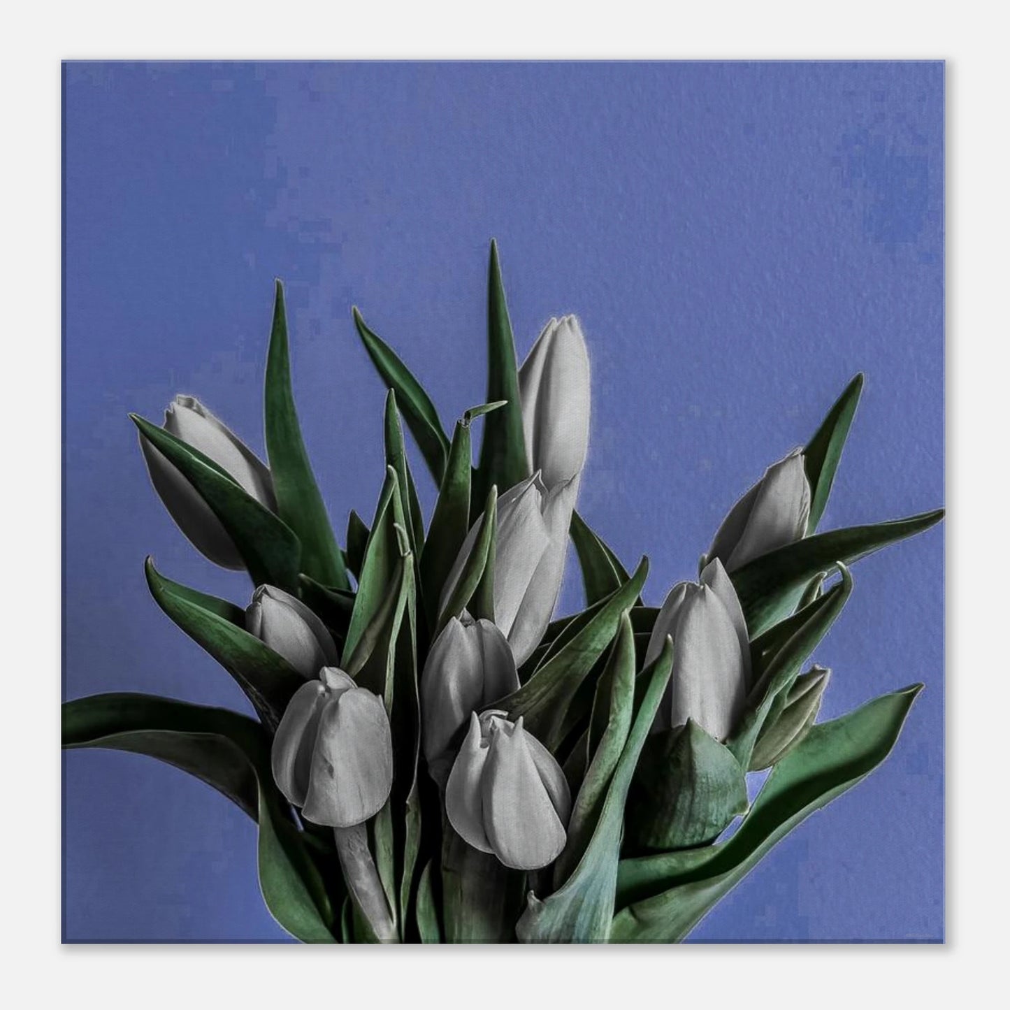 08e69572-ea79-46bf-86cb-655ac7215eeb