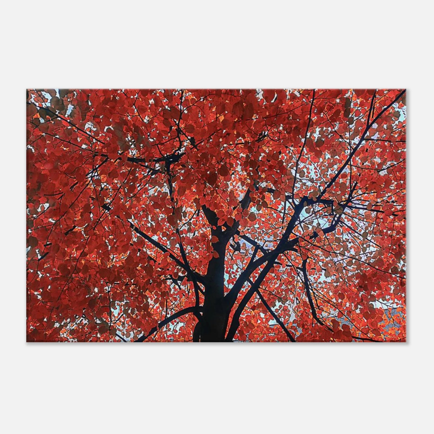 09355f74-ee5d-4de3-8314-2bd7d02b1b2b