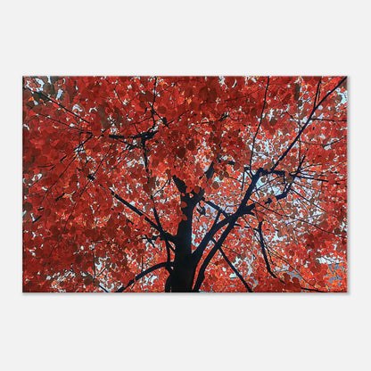 09355f74-ee5d-4de3-8314-2bd7d02b1b2b