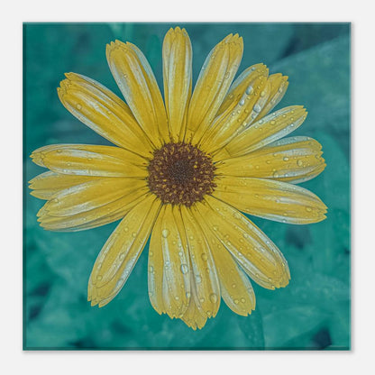 09376a47-f218-491d-82b0-e6b4343ae86a