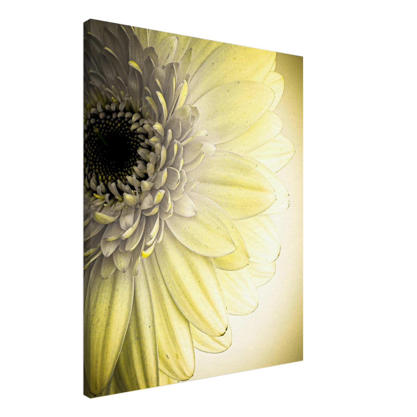 0944a234-7ee9-4a39-9906-f456fd8337ca