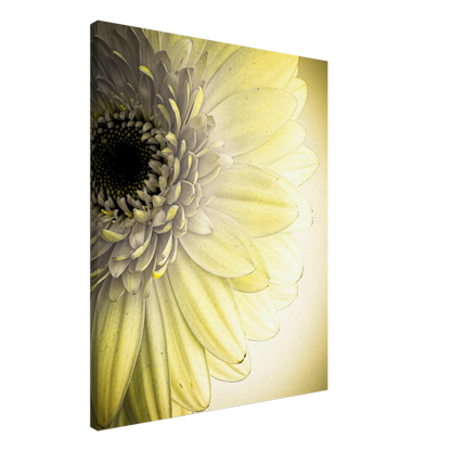 0944a234-7ee9-4a39-9906-f456fd8337ca