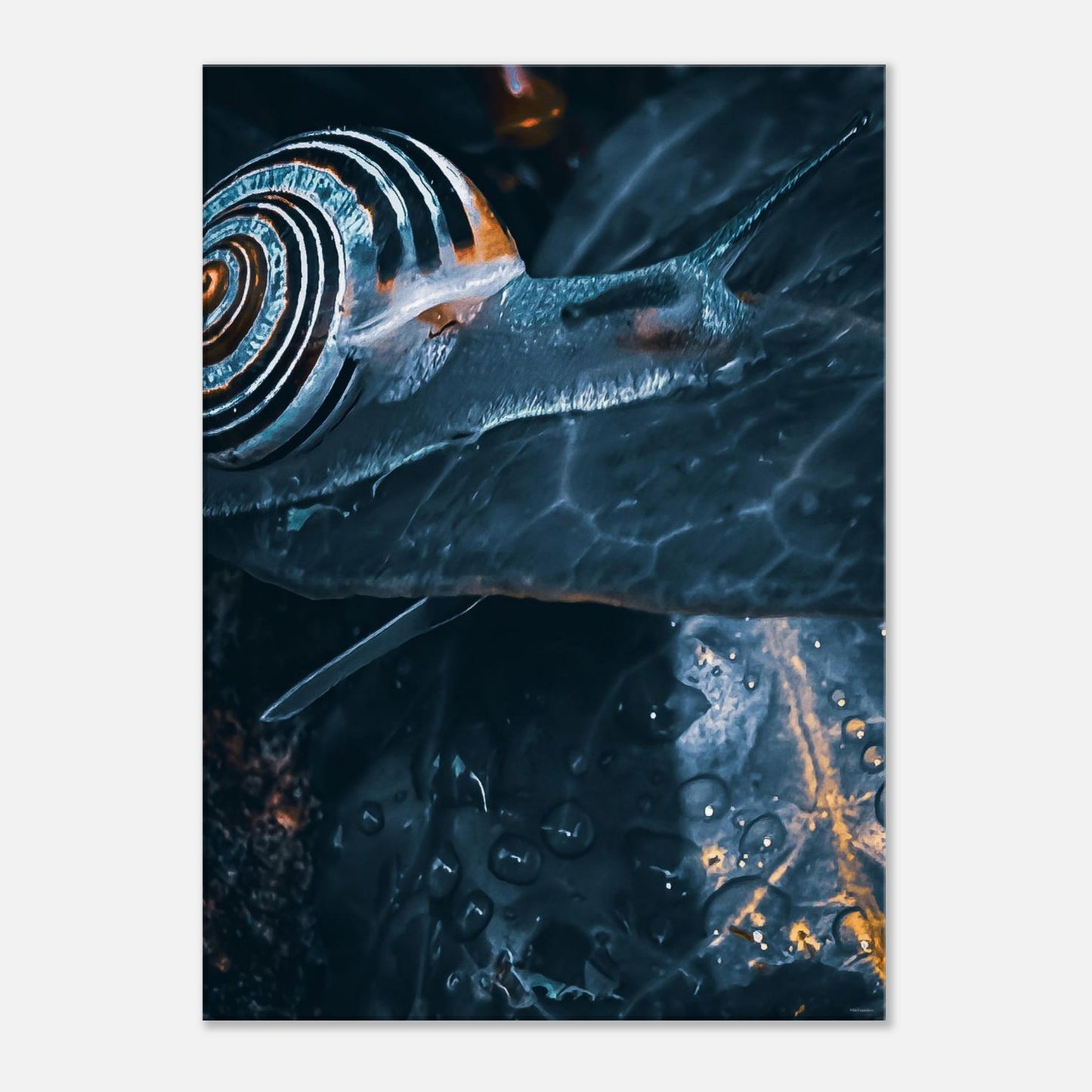 097ab474-3220-427d-a402-6ac8cc9d54f7