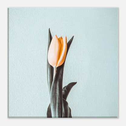 09b70633-00d2-4fea-9126-dc2fe1782405