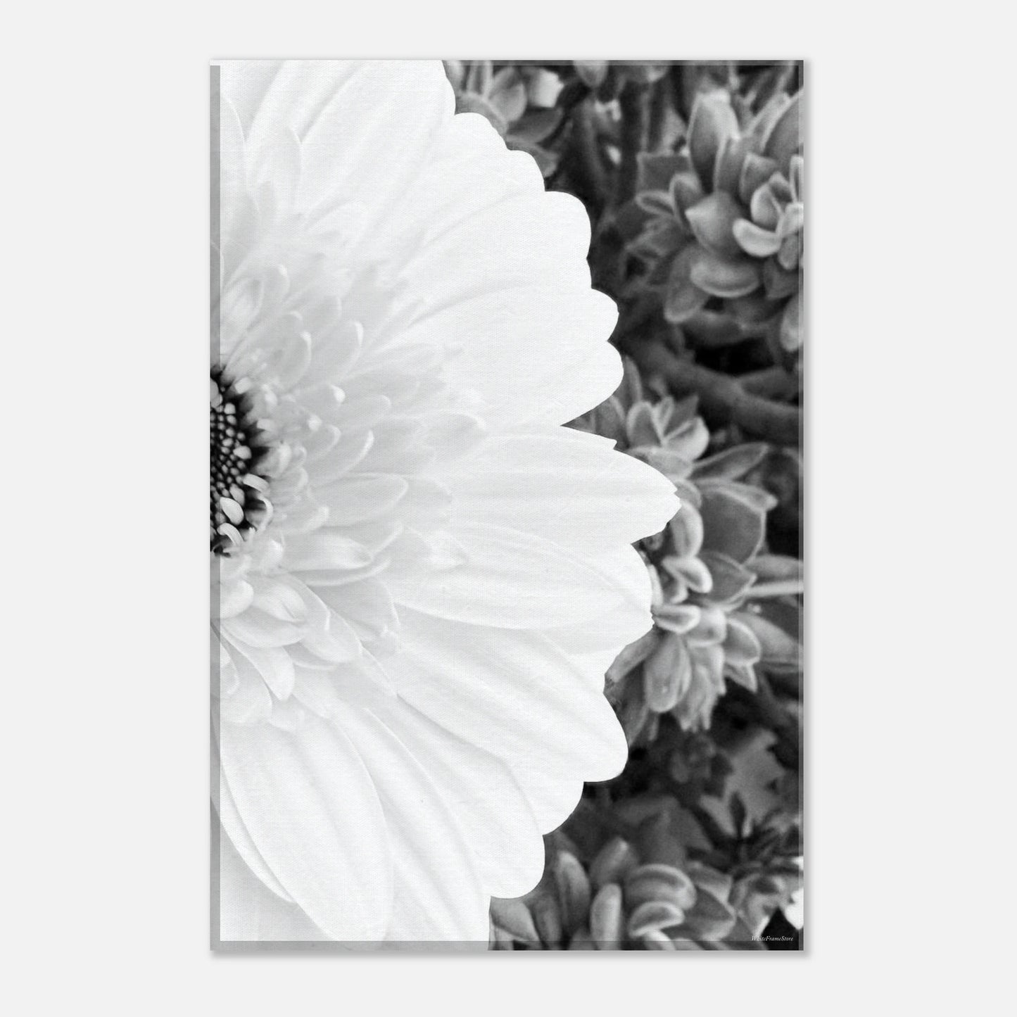 09c19d6c-f790-409e-9950-f53fefe64ae2