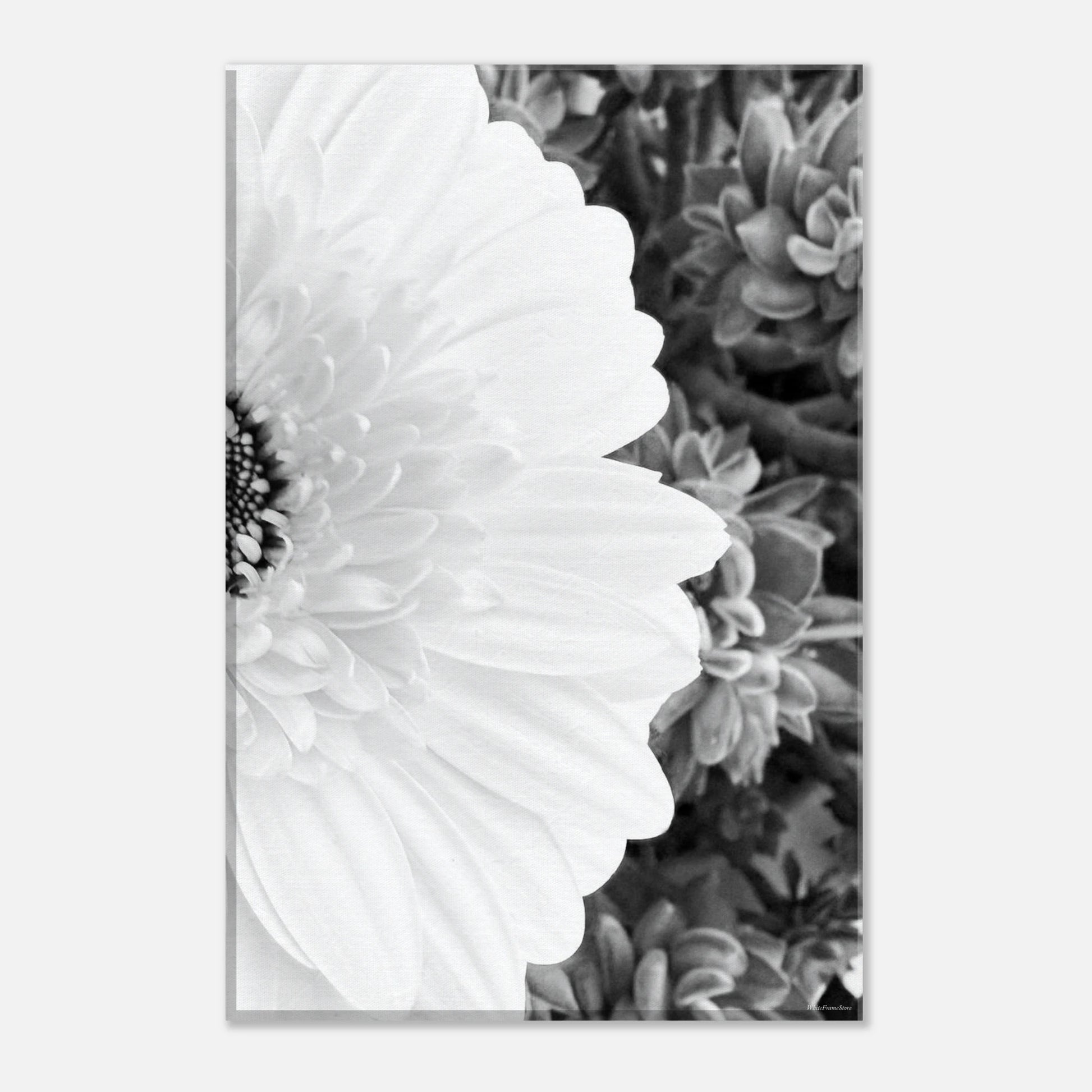 09c19d6c-f790-409e-9950-f53fefe64ae2