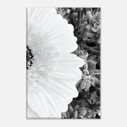 09c19d6c-f790-409e-9950-f53fefe64ae2