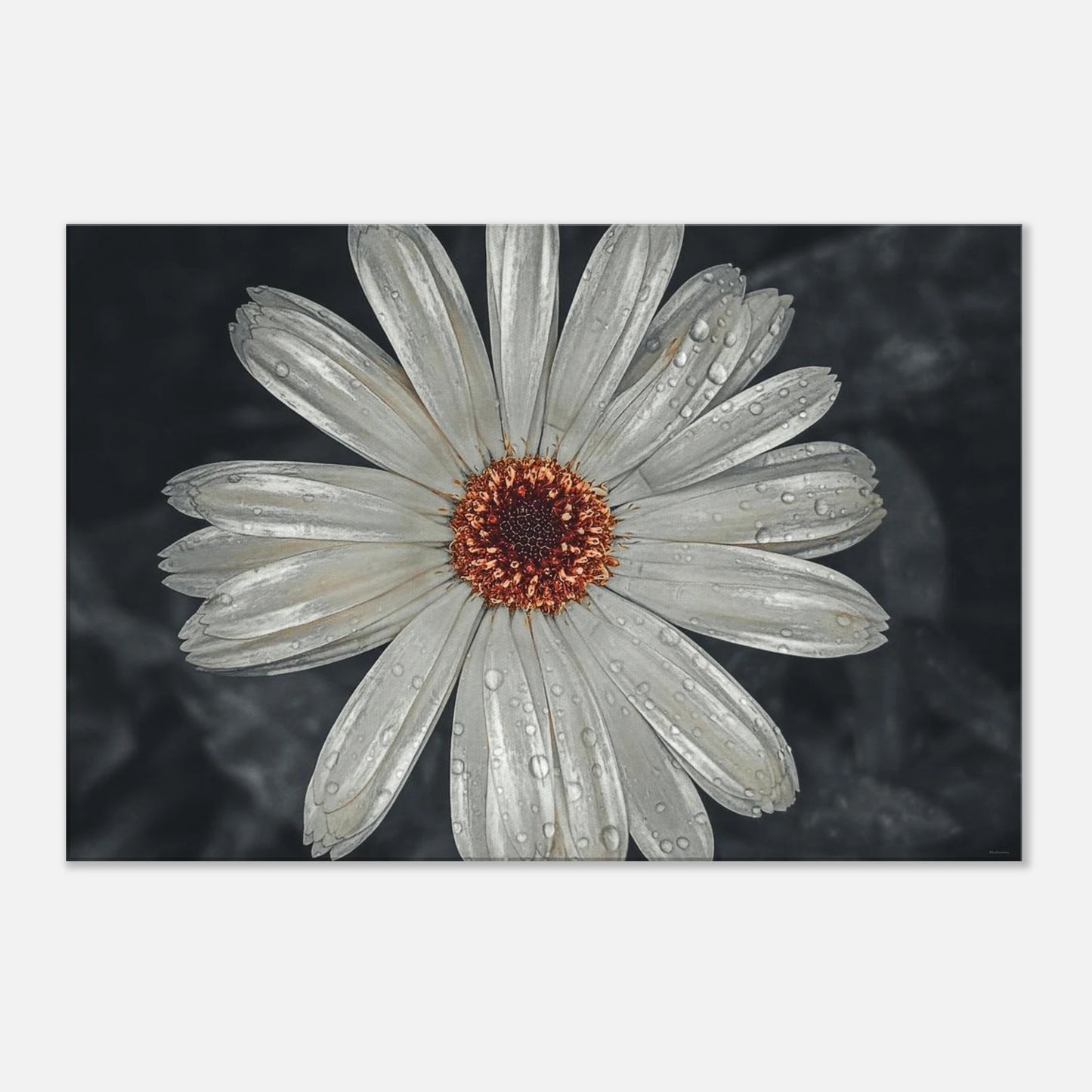 09da8e39-bde0-4c88-abfd-d48357e4f56d