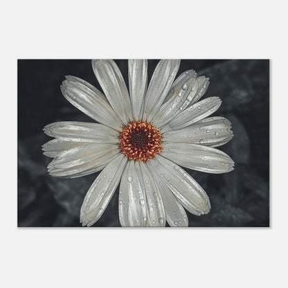 09da8e39-bde0-4c88-abfd-d48357e4f56d