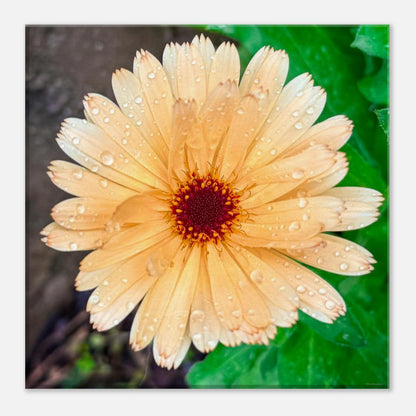 0a0d48e5-1e1a-43ed-94e7-6df23c0d0907