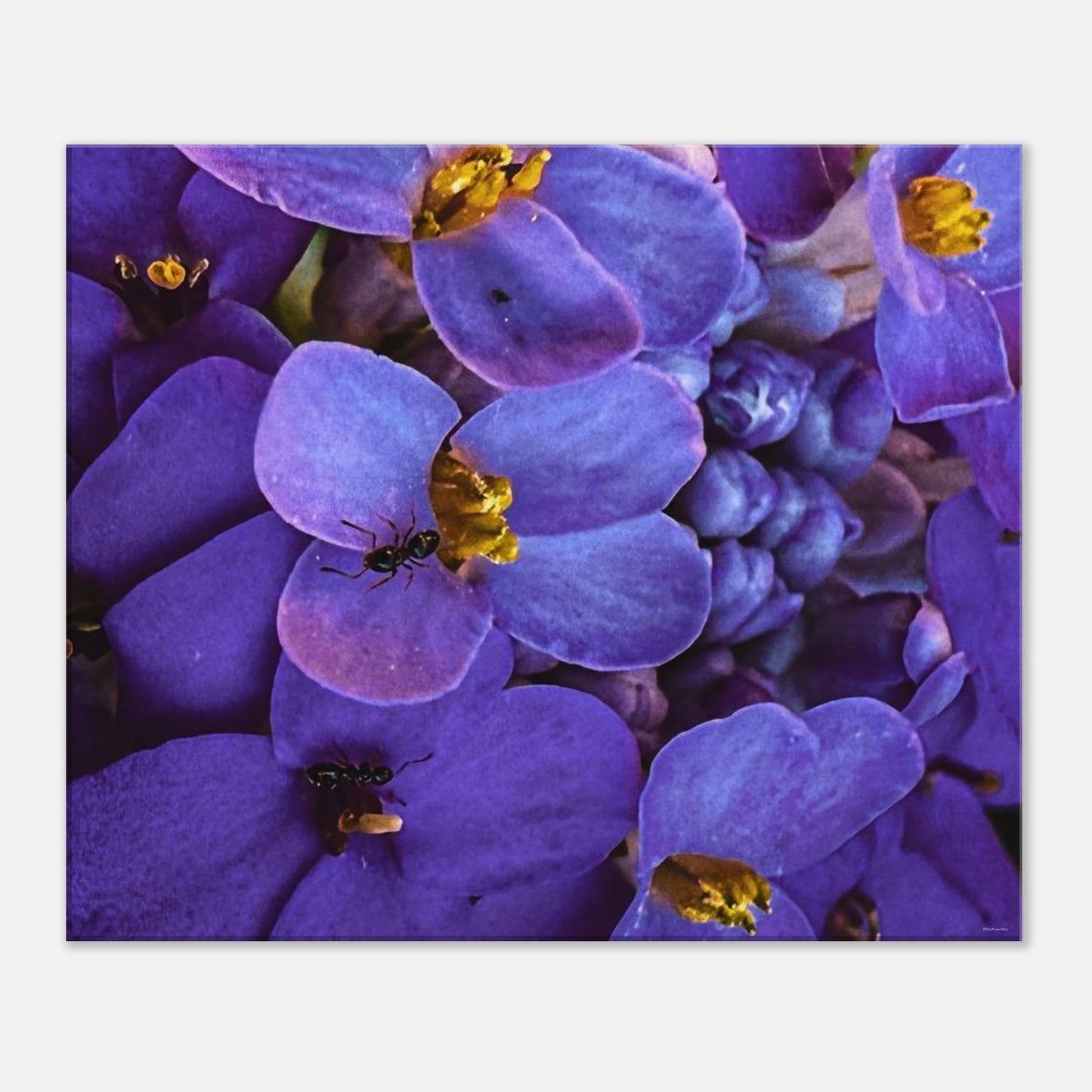 0a0e7f45-1d19-4d06-8c2c-5ca5309b3aa1