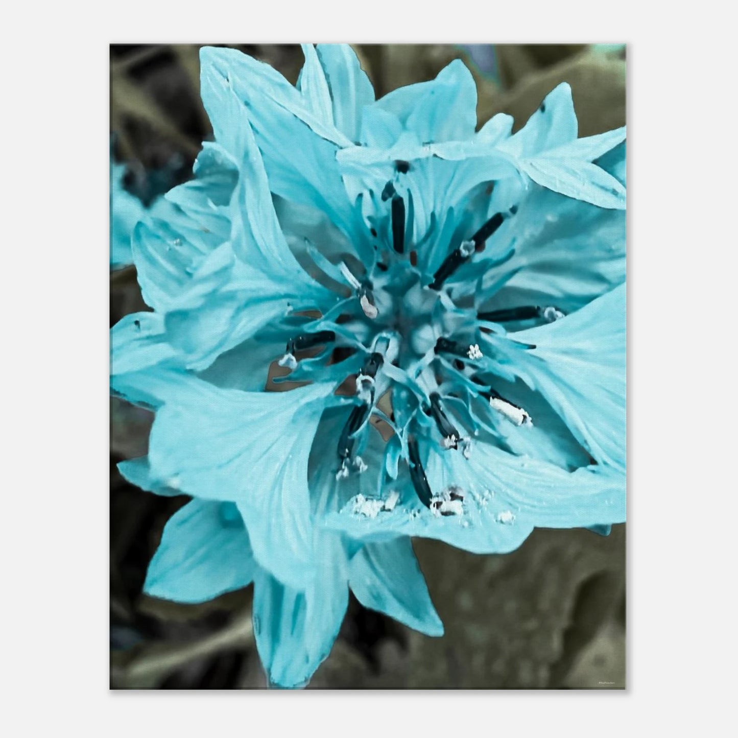 0a3e26a3-3e75-4a89-ae06-66556ee6f75f