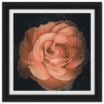 0a628ebb-b8f4-43f4-b91a-b3610fcc4f54