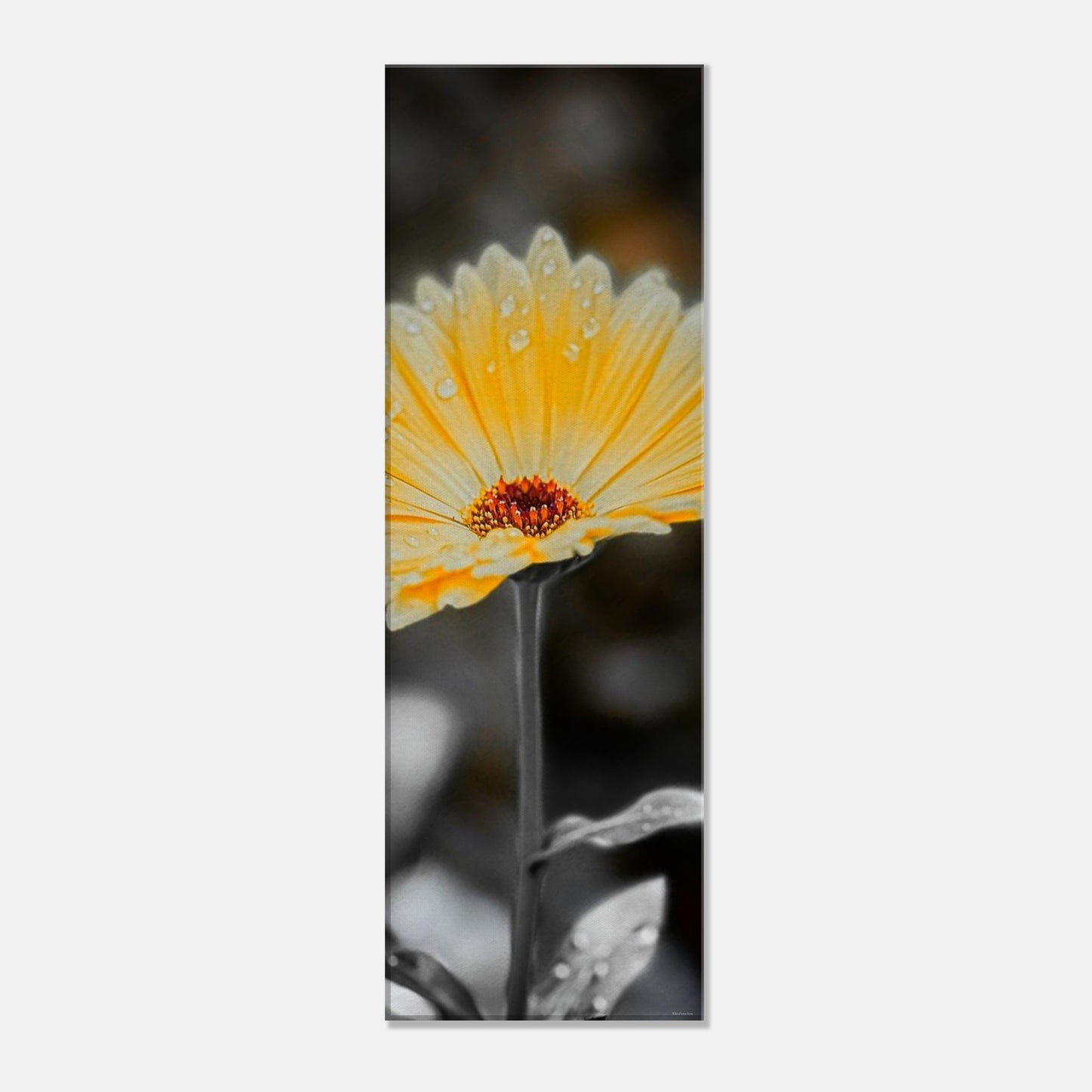 0a70e1ff-9505-4cdc-9fc0-c359d8661eff