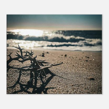 0a983b85-4c26-44ac-b528-1d3c910350a0