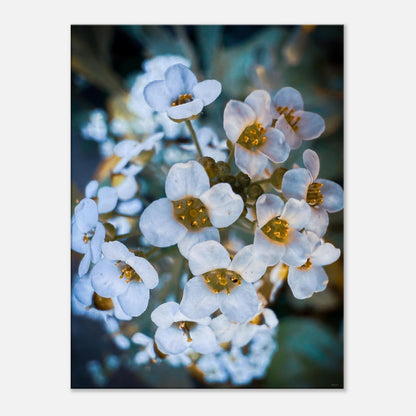 0a99fd05-2d9f-4dd1-bb2f-71c7b6dfd809