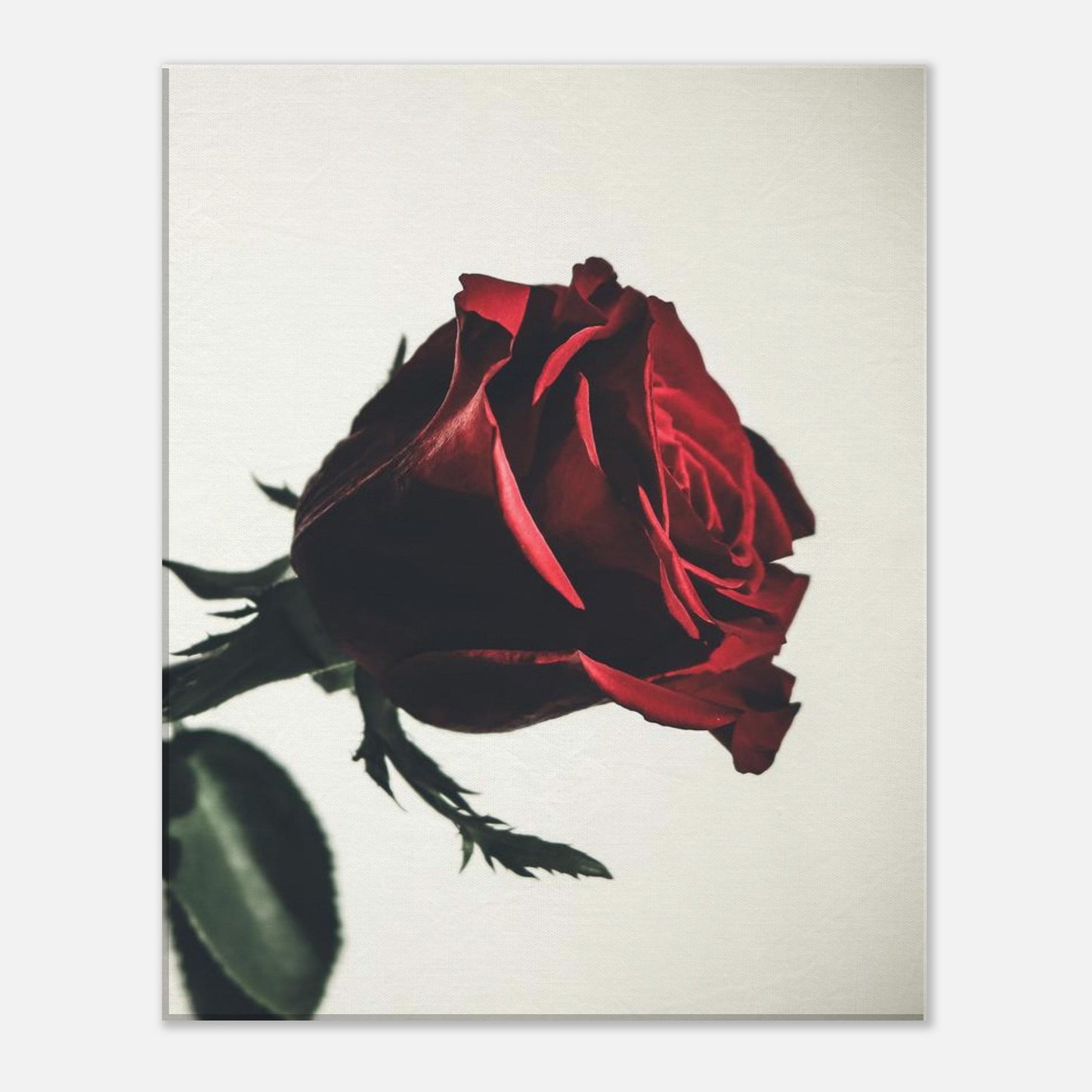 0ad389d6-7982-42d9-9fd0-06731ee5d85c