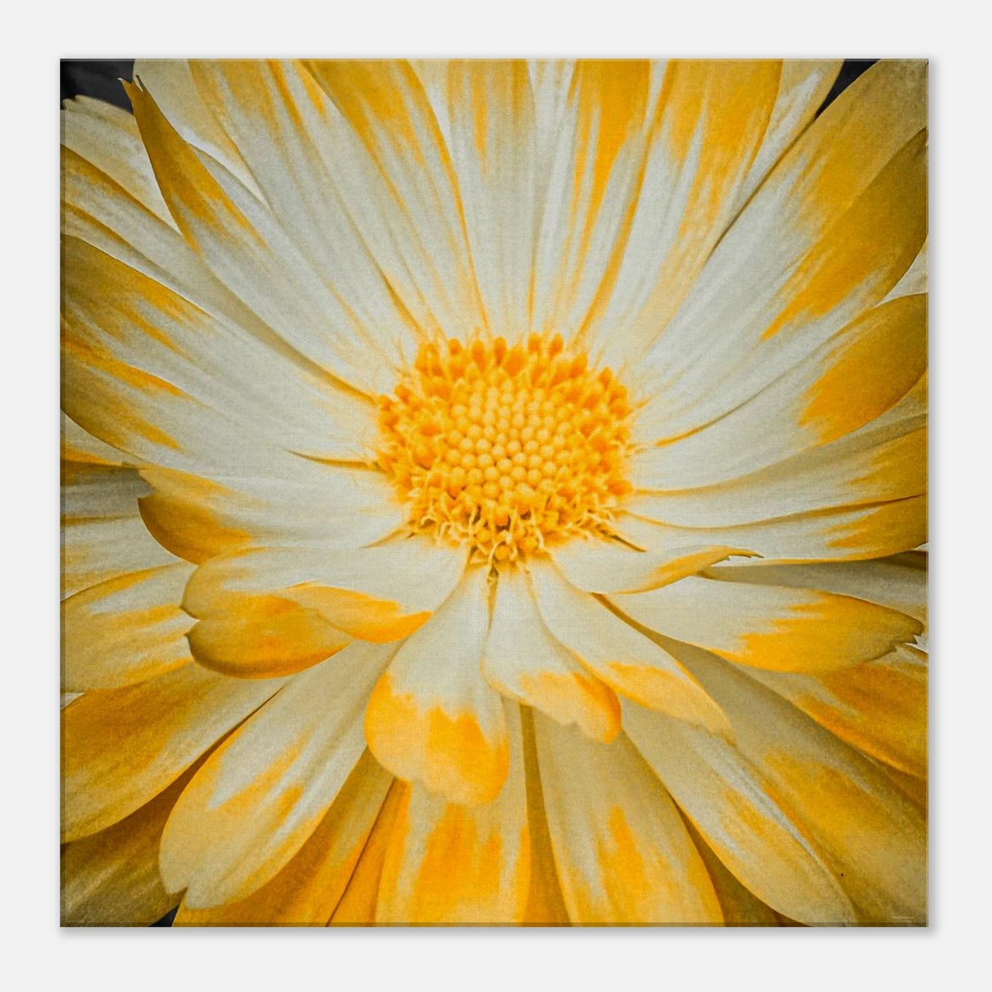 0ae39bc2-7a2d-4a05-b79a-779cdda6d699