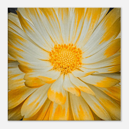 0ae39bc2-7a2d-4a05-b79a-779cdda6d699