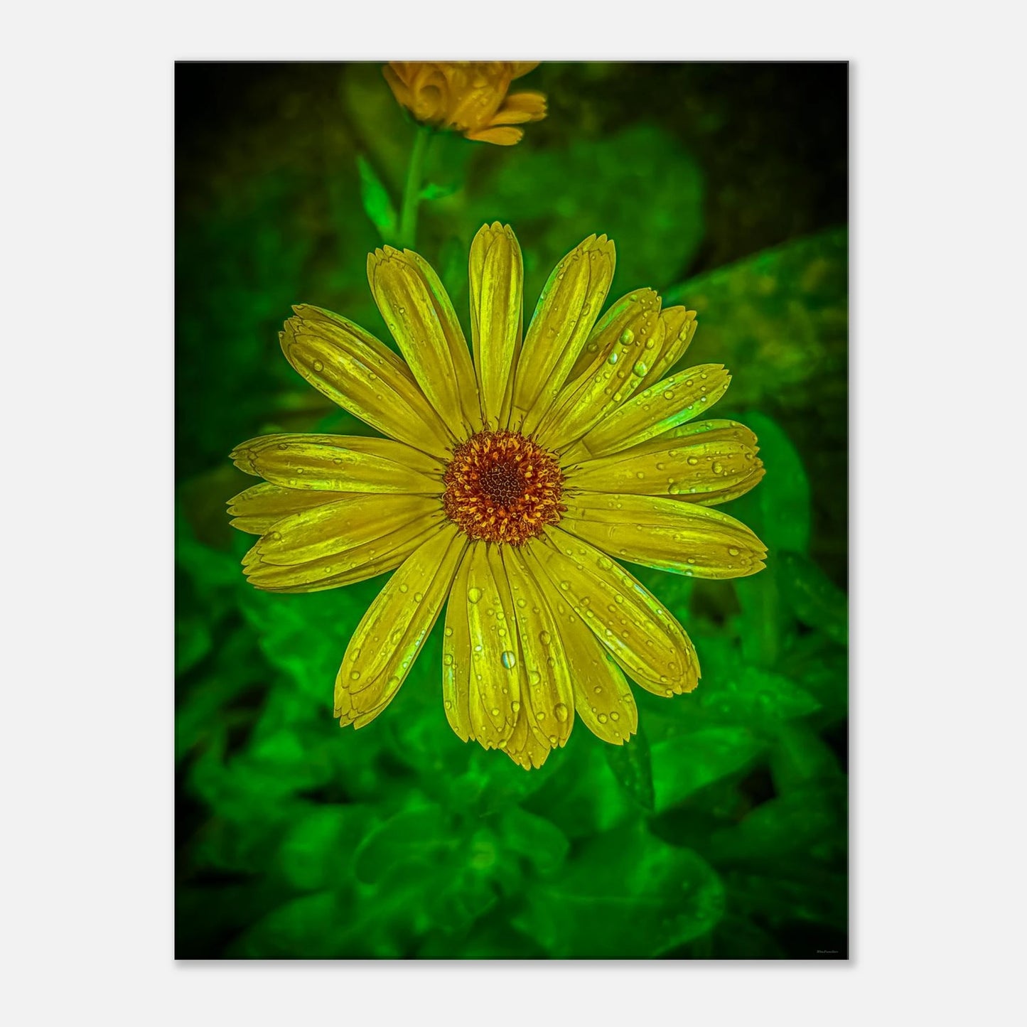 0ae57ac7-67bd-4540-ae12-6d1163371abe