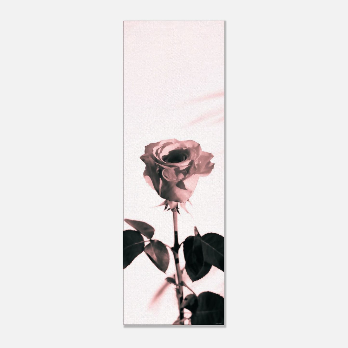 0b6e1743-e19f-4fe3-b0e5-978213a71417
