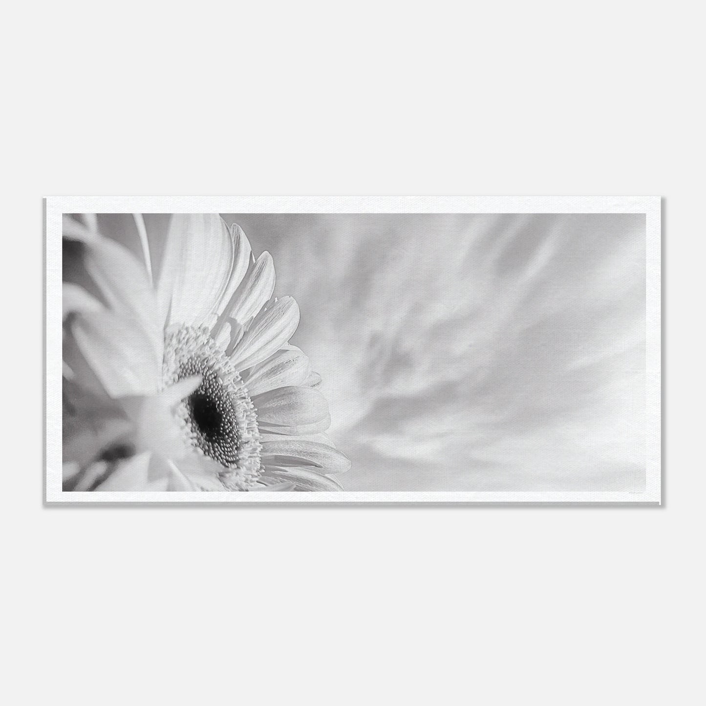 0ba38969-6173-411e-8959-21b864de2a6b