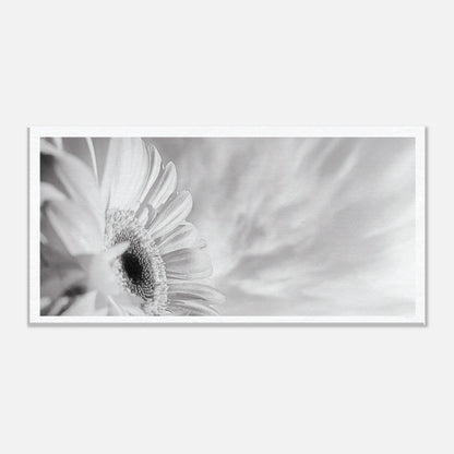 0ba38969-6173-411e-8959-21b864de2a6b