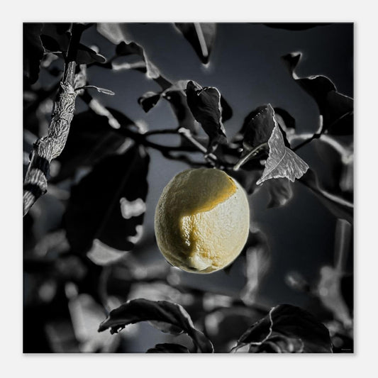 0bbda2a4-6c36-40c5-b062-021c3c470028